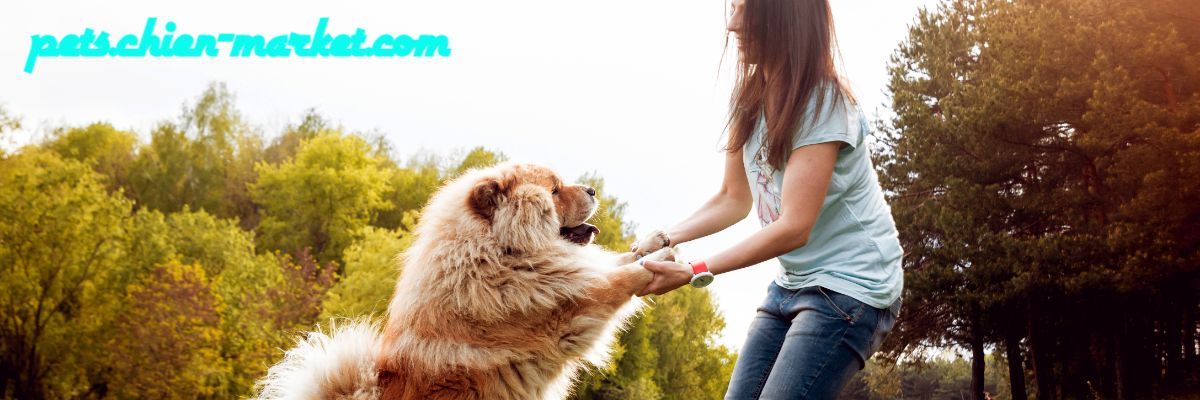 pets.chien-market.com